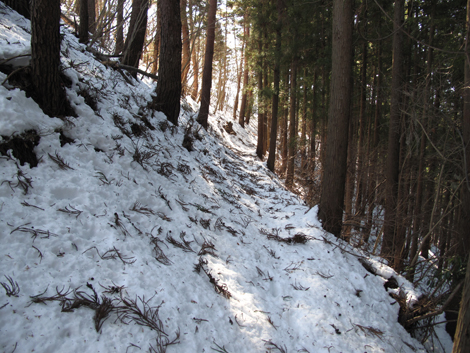 20180126hike (130)